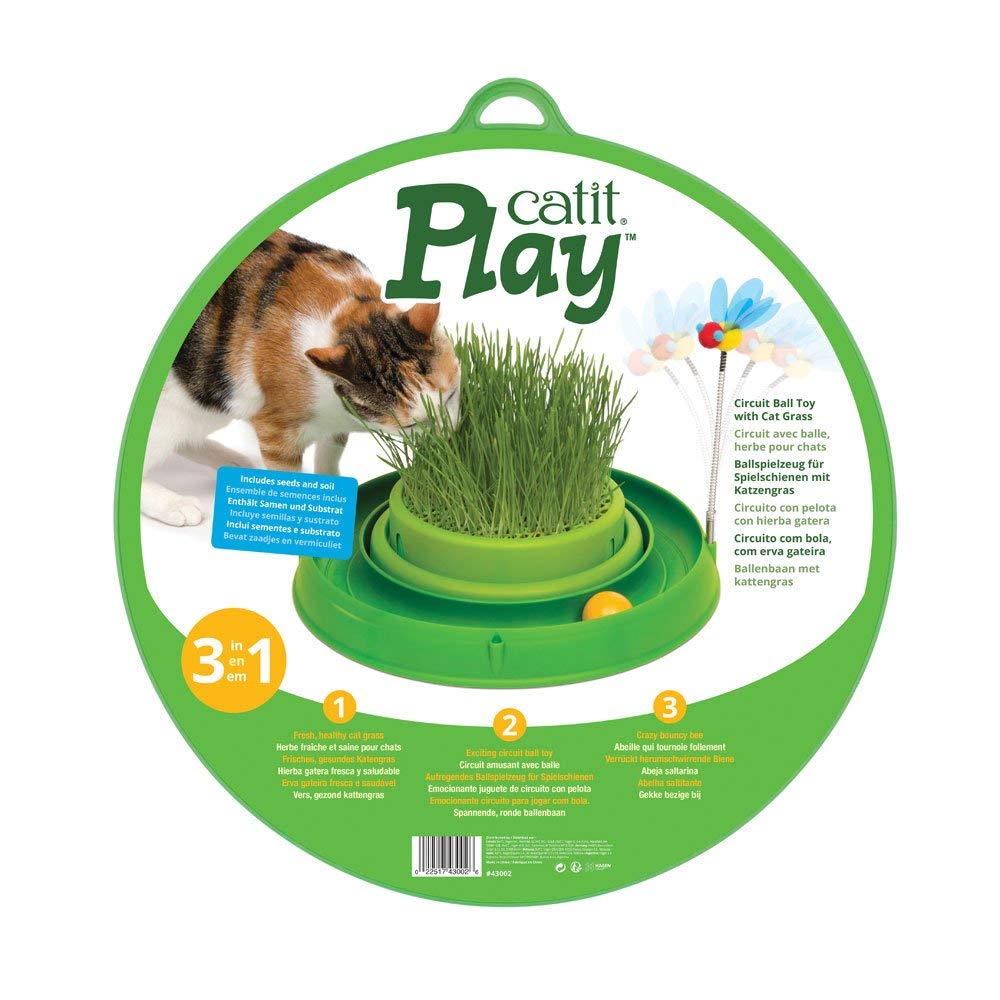Circuito "Play" Pelota con Pasto para Gatos