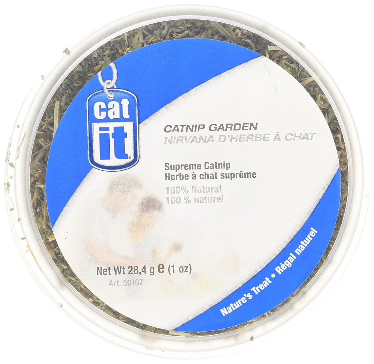 Catnip o Menta de los Gatos