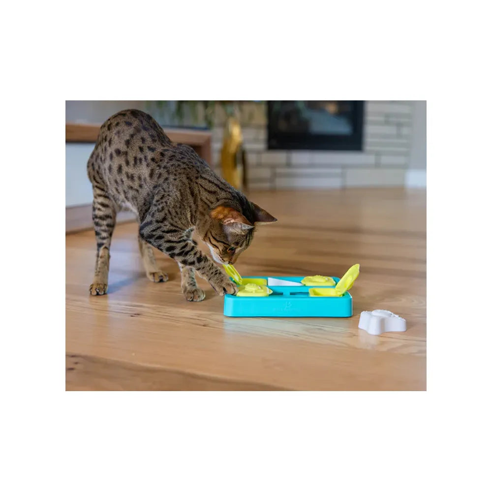 Catstages Puzzle Kitty Cube para Gatos con base azul y tapas verdes abatibles, incluye compartimentos ocultos para premios