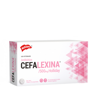 Cefalexina 500 mg Comprimidos