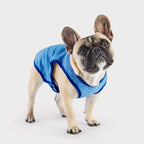 Chaleco Refrescante GF Pet - M