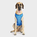 Chaleco Refrescante GF Pet
