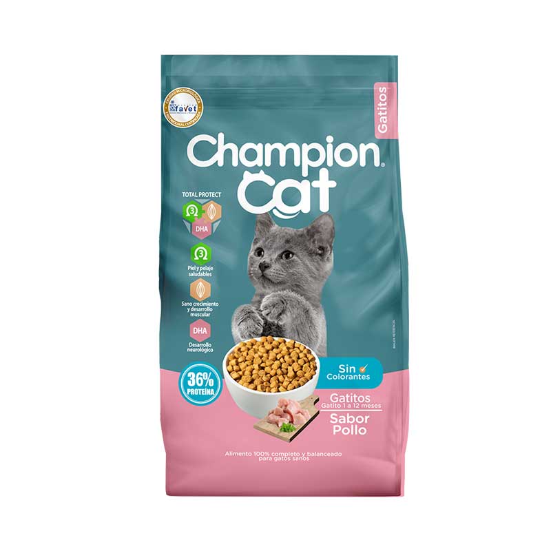 Champion Cat Gatitos