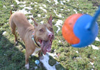 Lanzador de Pelotas "Chuckit! Sport" 
