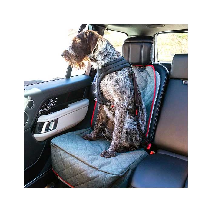 Anclaje Cinturón de Seguridad Giratorio Kong Travel