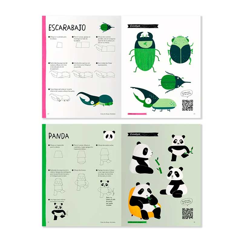 Clase De Dibujo Animales