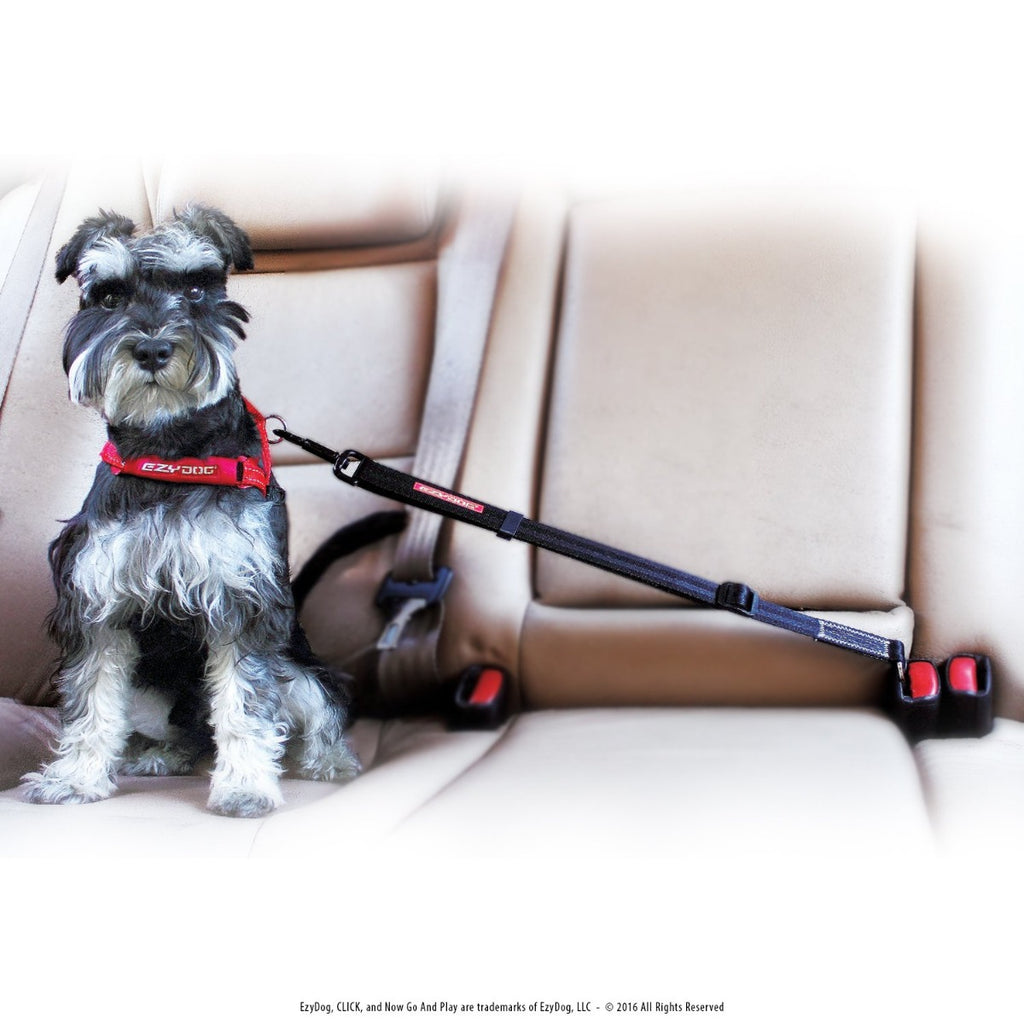 Enganche para Auto "CLICK" EzyDog