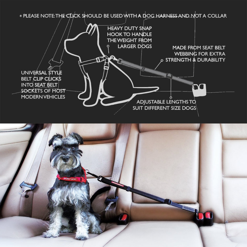 Enganche para Auto "CLICK" EzyDog