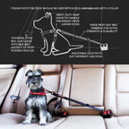 Enganche para Auto "CLICK" EzyDog