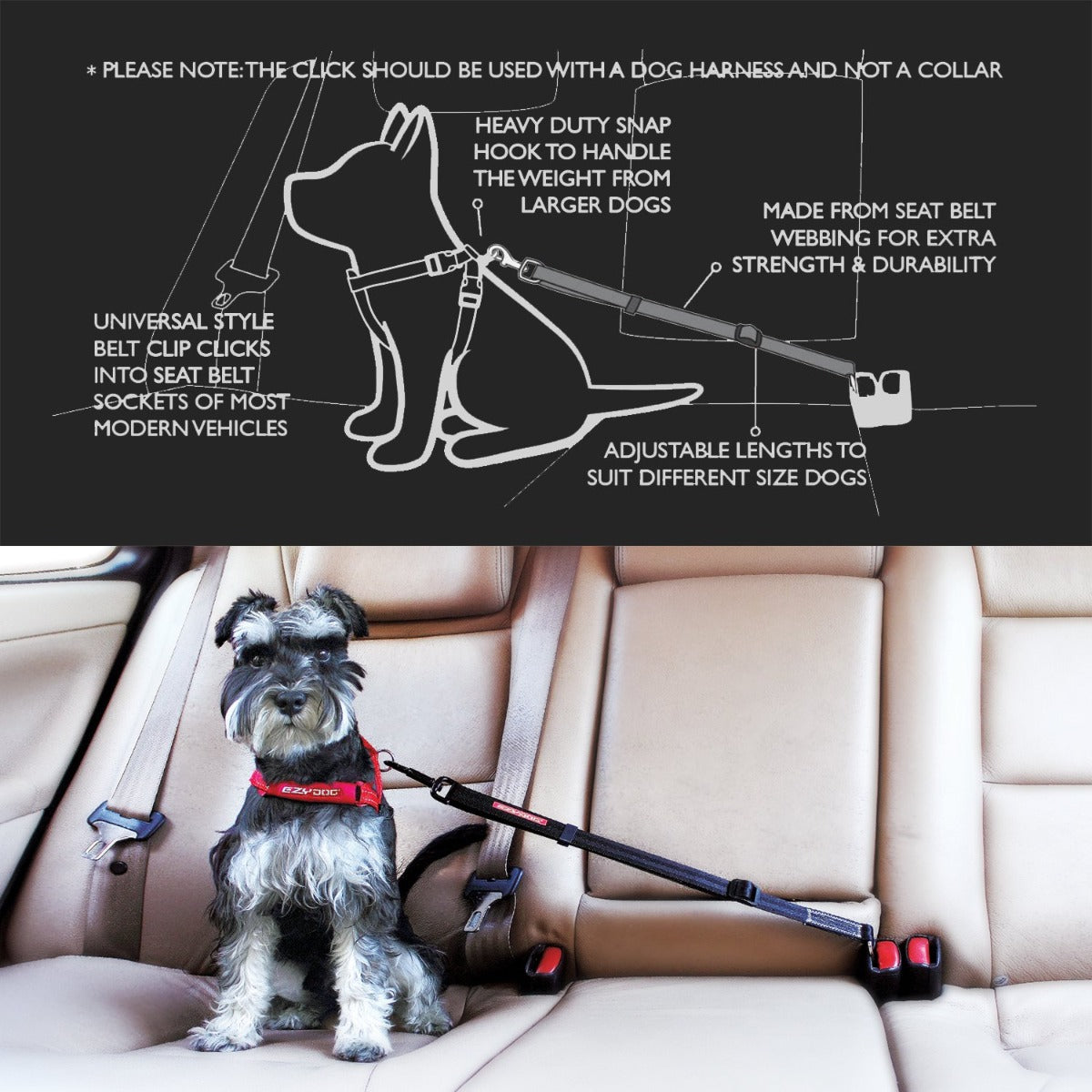 Enganche para Auto "CLICK" EzyDog