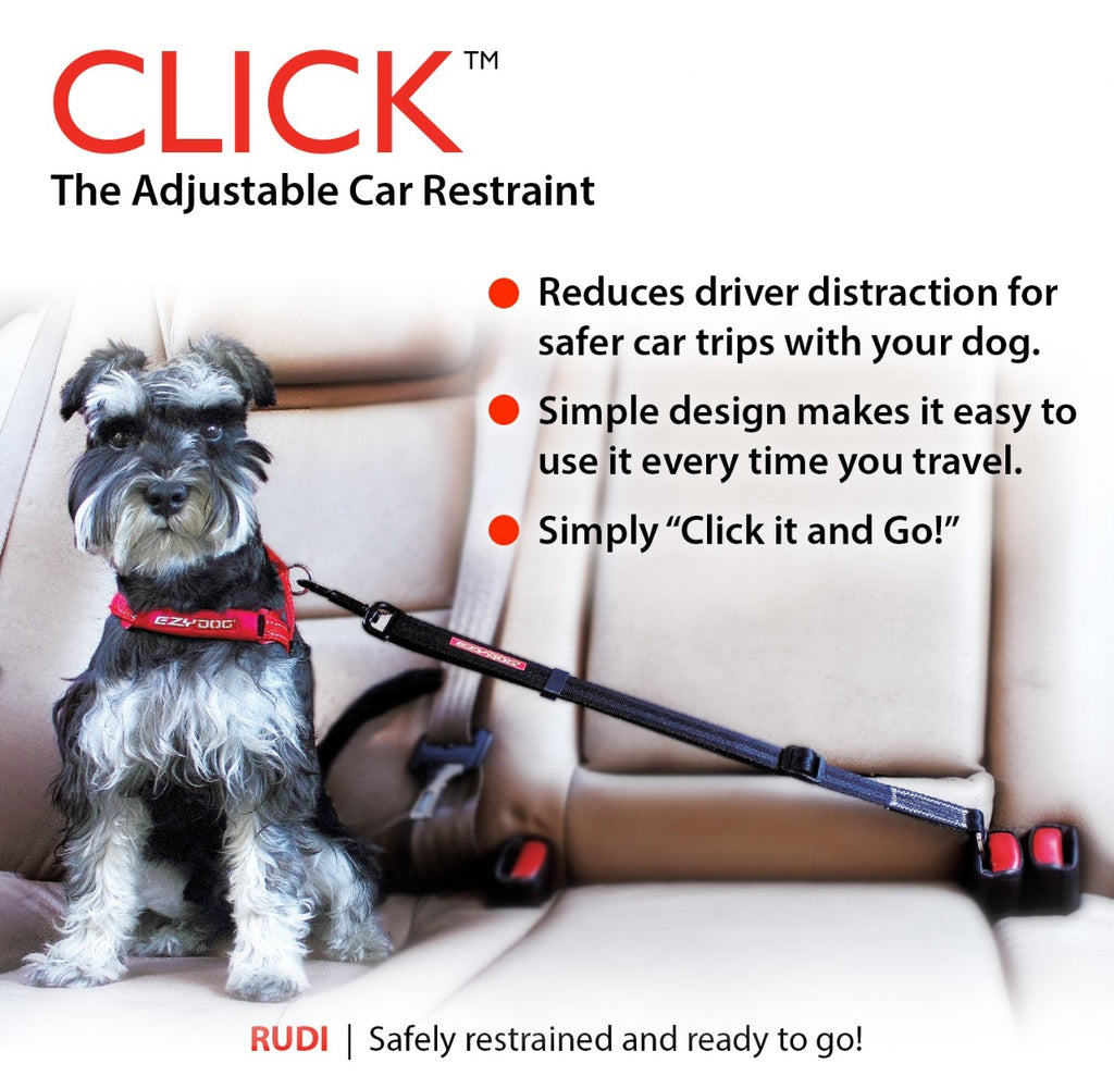 Enganche para Auto "CLICK" EzyDog