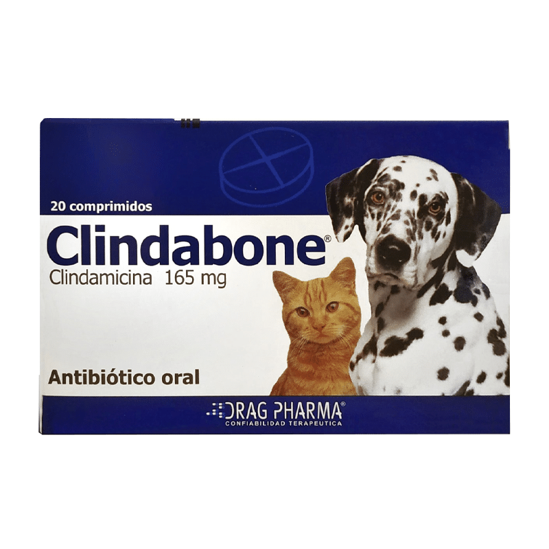 Clindabone 165 mg (Clindamicina) 