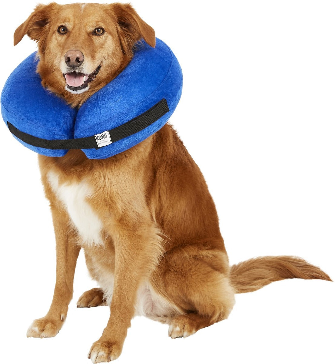 Collar Isabelino Inflable Kong Cloud 