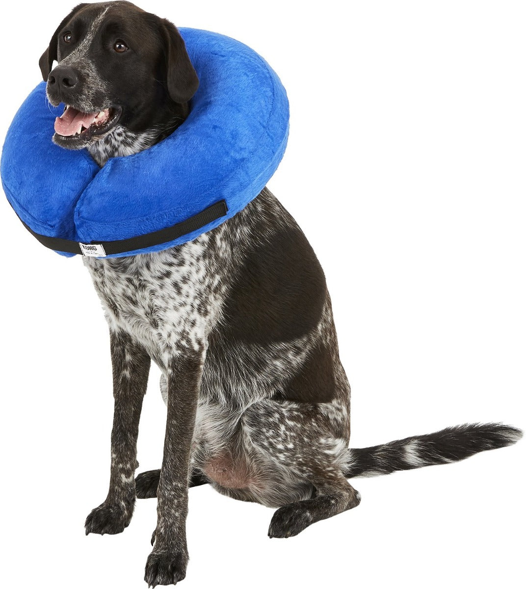 Collar Isabelino Inflable Kong Cloud 