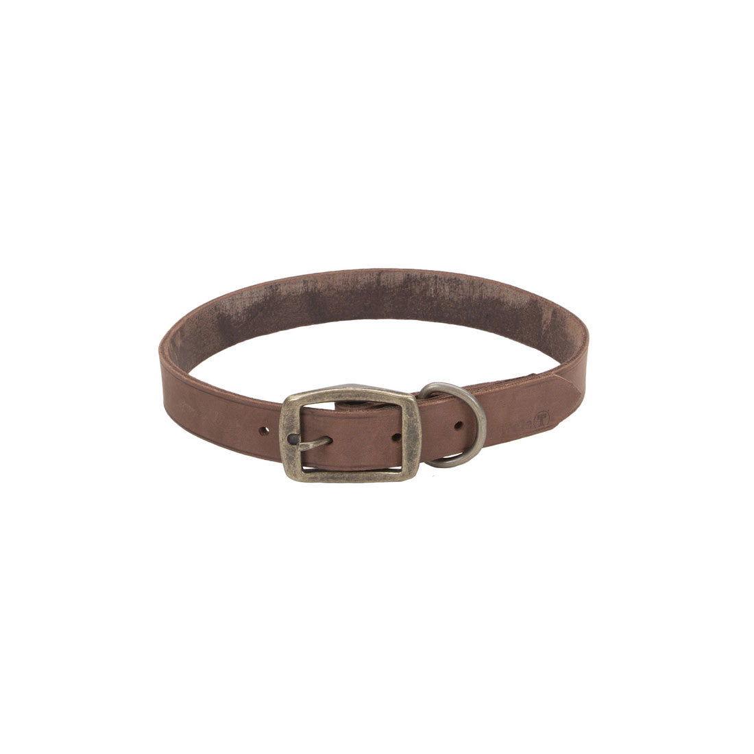 Collar de Cuero Chocolate Circle-T - 10''