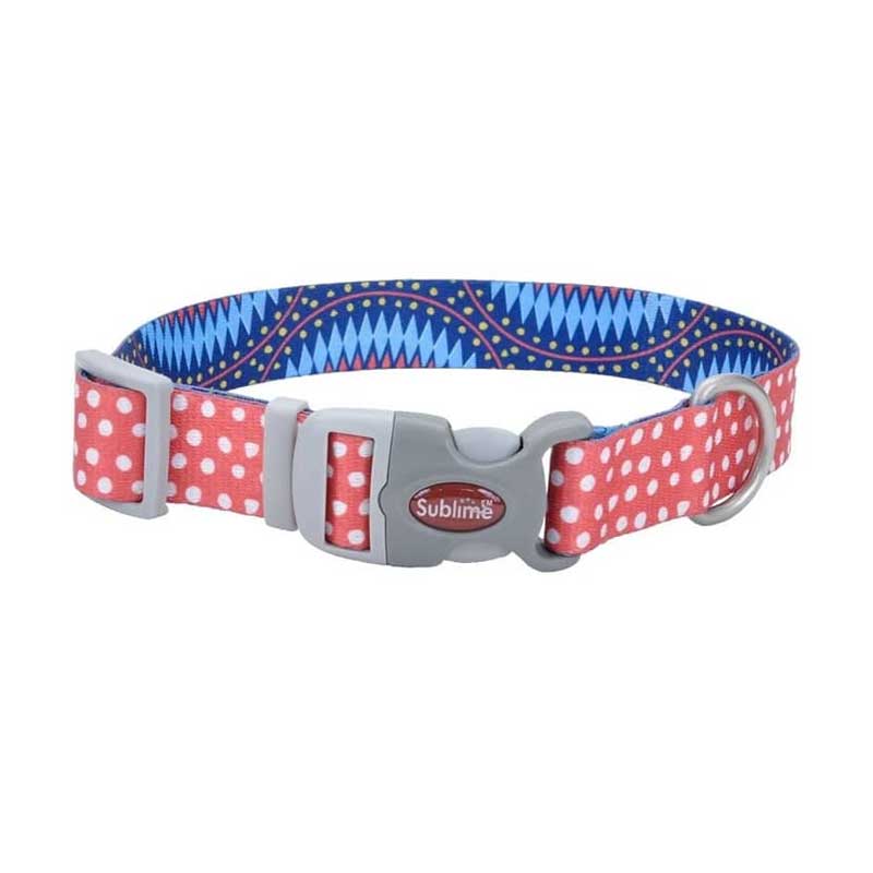 Coastal Sublime Collar Dots para Perros - L