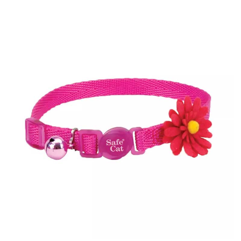 Coastal Embellished Collar para Gatos