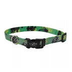 Coastal Lazer Brite Collar Lime Skulls para Perros - XS