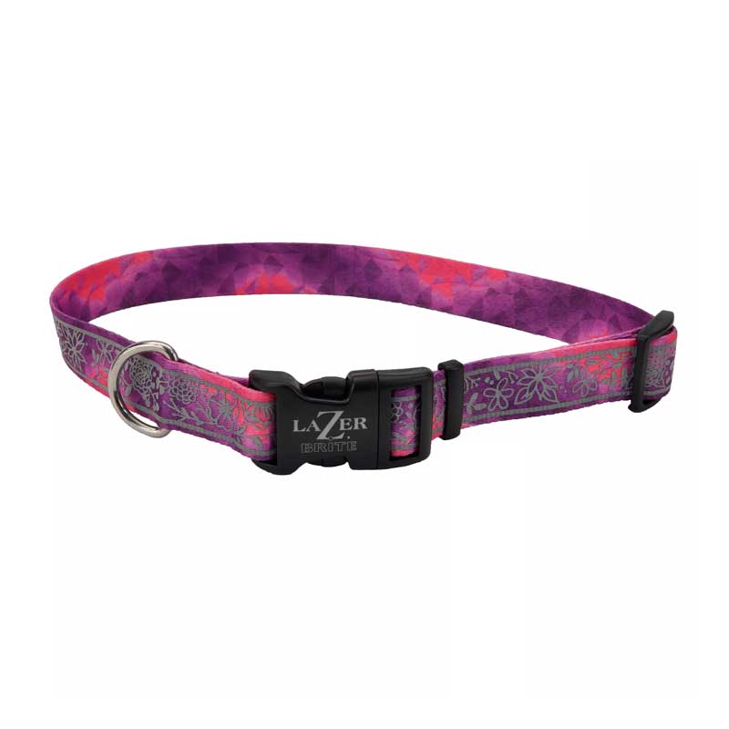 Coastal Lazer Brite Collar Pink Multiflowers para Perros - XS