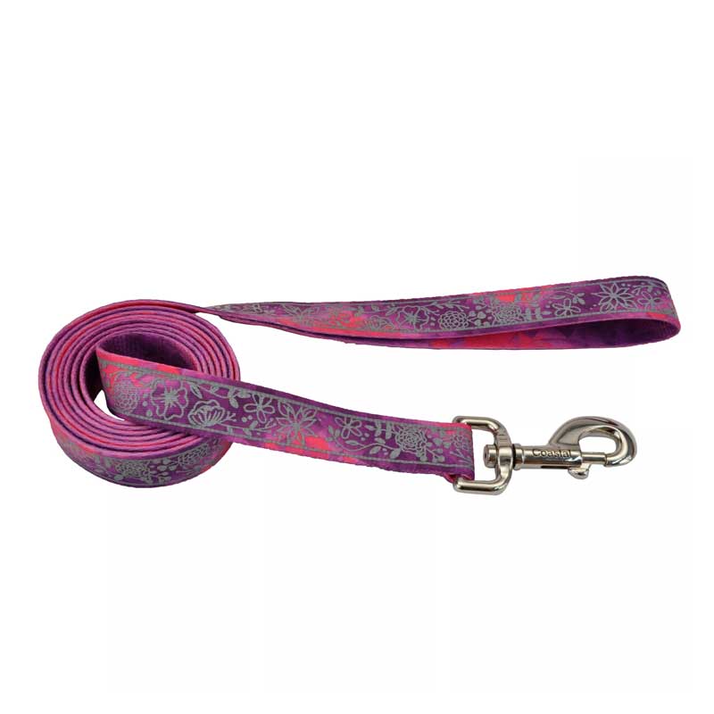 Coastal Lazer Brite Correa Pink Multiflowers para Perros - L