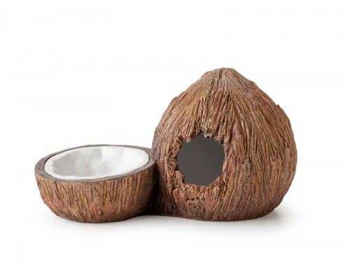 Guarida y Plato "Coco" Exo Terra 