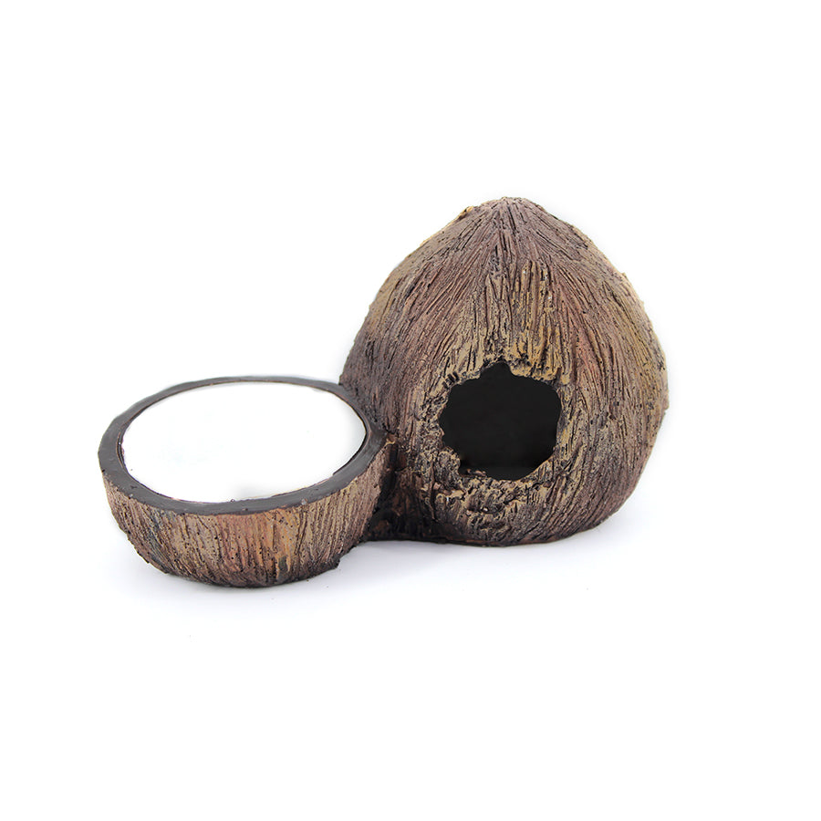 Guarida y Plato "Coco" Exo Terra 