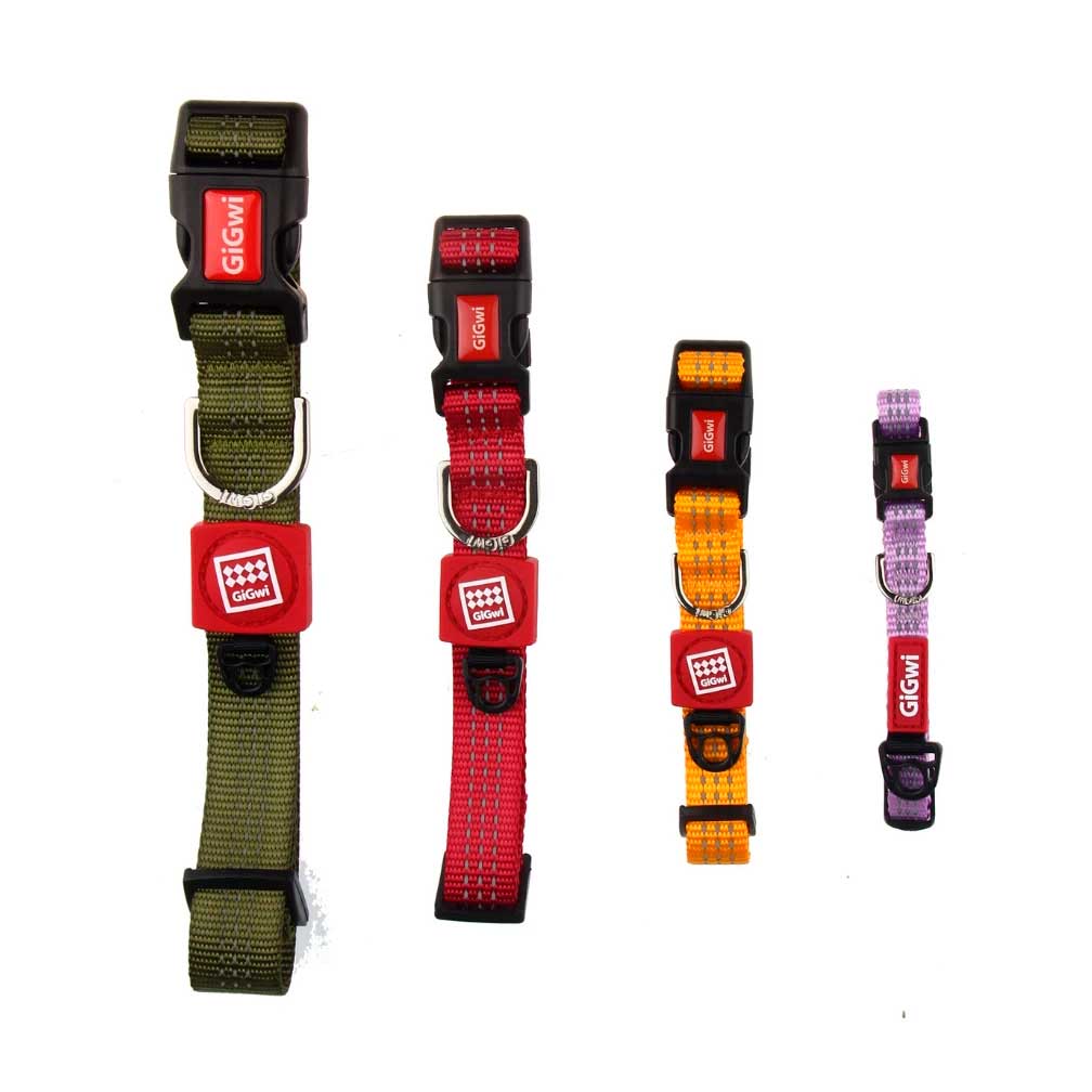 Collar Linea Clásica Gigwi - S