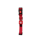Collar Linea Clásica Gigwi - L