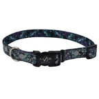 Coastal Lazer Brite Collar Galaxy para Perros - S-M