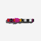 Collar para Gatos "Prisma" Zee.Cat