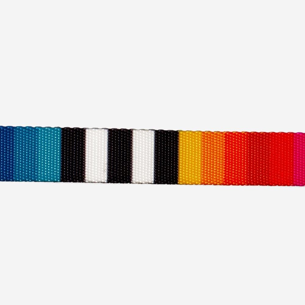 Collar para Gatos "Prisma" Zee.Cat