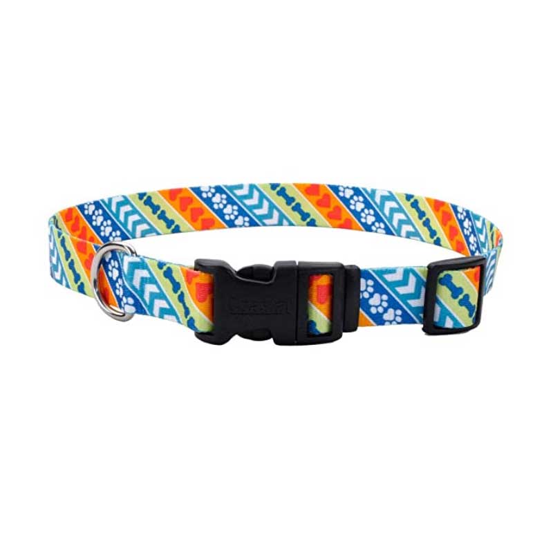 Coastal Style Collar Resolve para Perros - XS