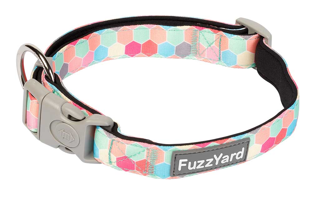 Collar para Perros "The Hive" Fuzzyard - S