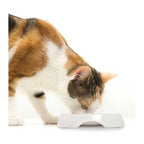 Comedero con Borde Bajo Doble para Gatos