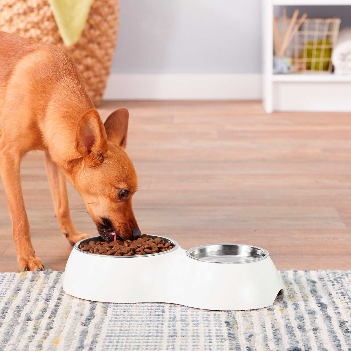 Plato Doble Dog it  - Rosado