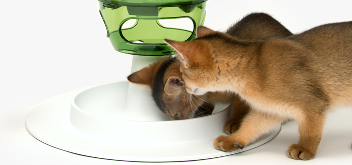 Comedero Interactivo "Food Tree" para Gatos