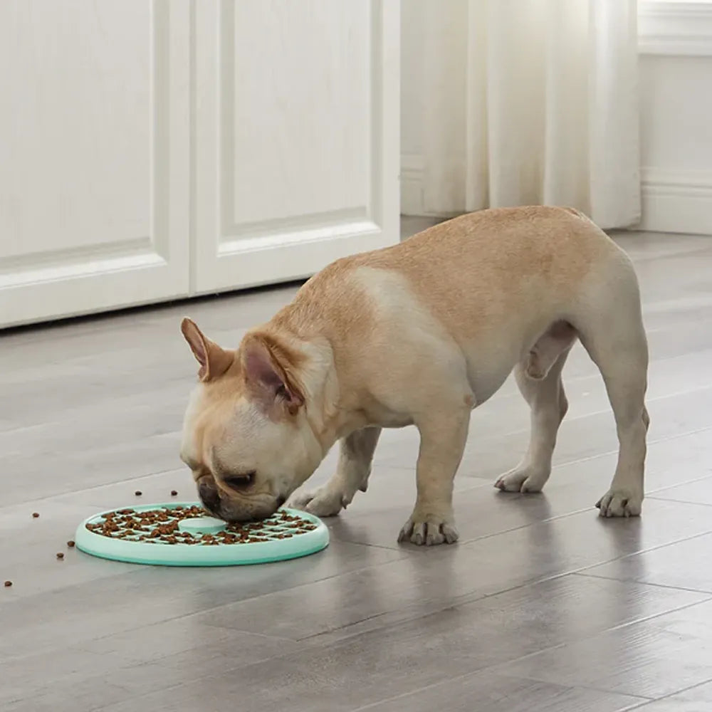 Comedero Lento "Fun Feeder Slo Tray" Menta