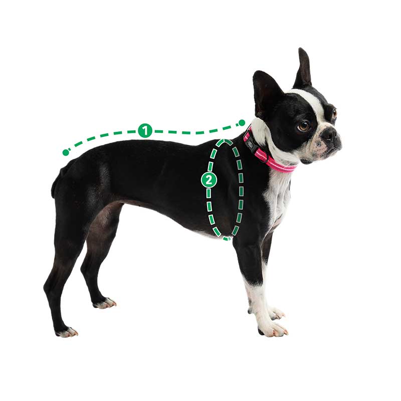 Impermeable Reversible Verde para Perros - XL