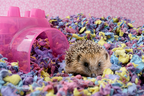 Sustrato para Cama "Carefresh" Confetti 