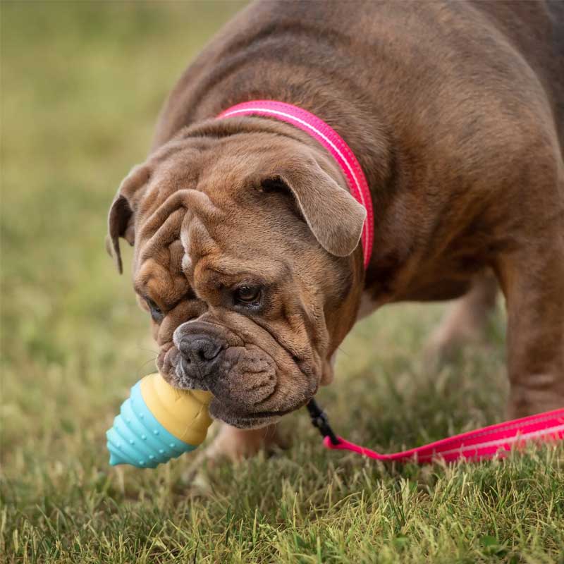 Juguete Cono Refrescante para Perros