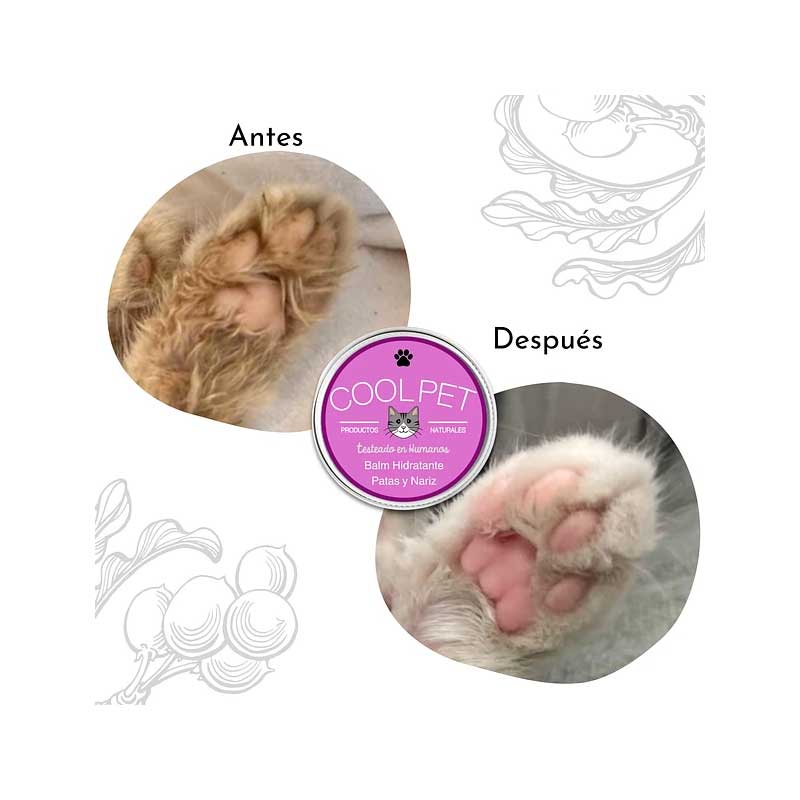 Balm Hidratante Patas y Nariz para Gatos 10 ml
