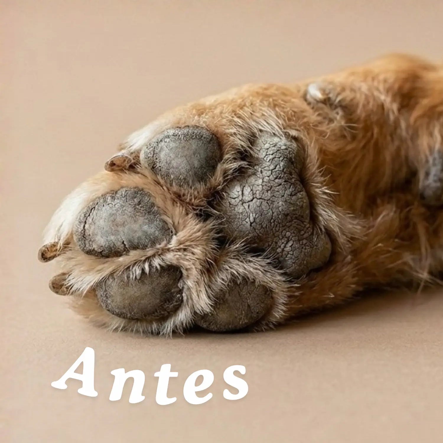 Balm Hidratante Patas y Nariz Cool Pet
