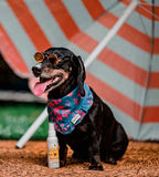 Protector Solar para Mascotas SFP 30 Cool Pet 