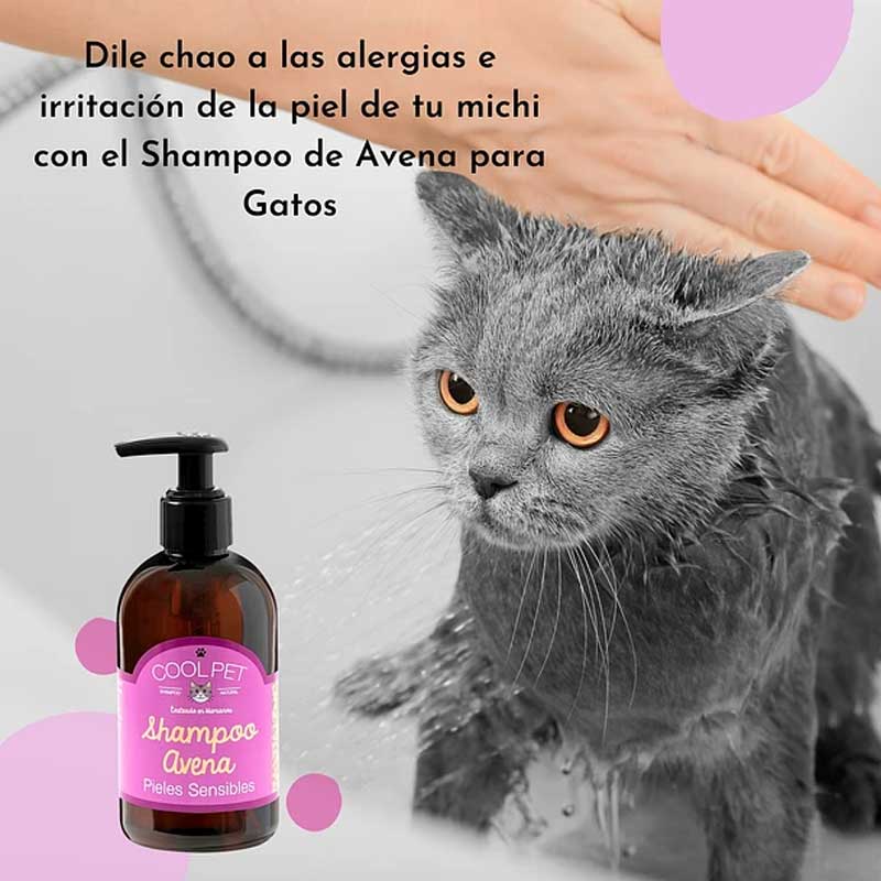 Cool Pet Shampoo de Avena para Gatos 250 ml