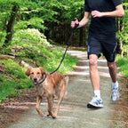Correa de Footing para Perros