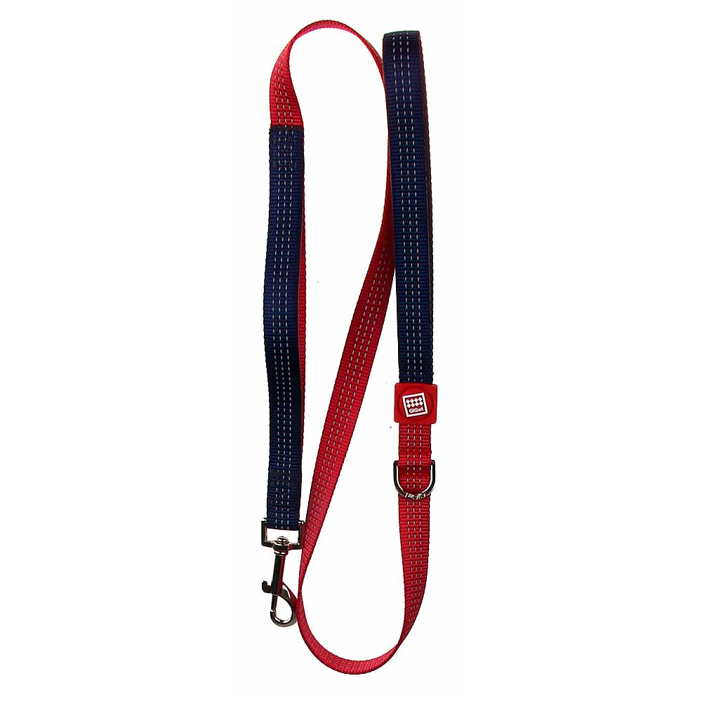 Correa Linea Clásica Gigwi  - S