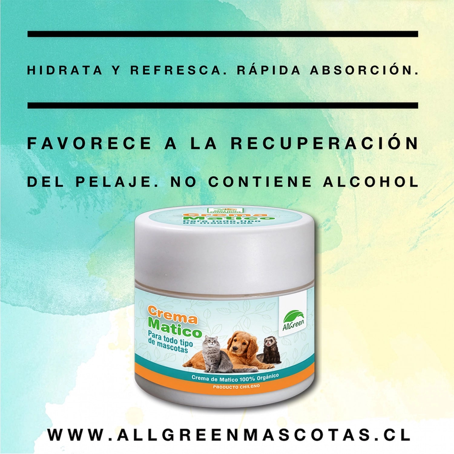 AllGreen Crema de Matico para Mascotas en envase blanco, crema orgánica para perros, gatos y hurones.