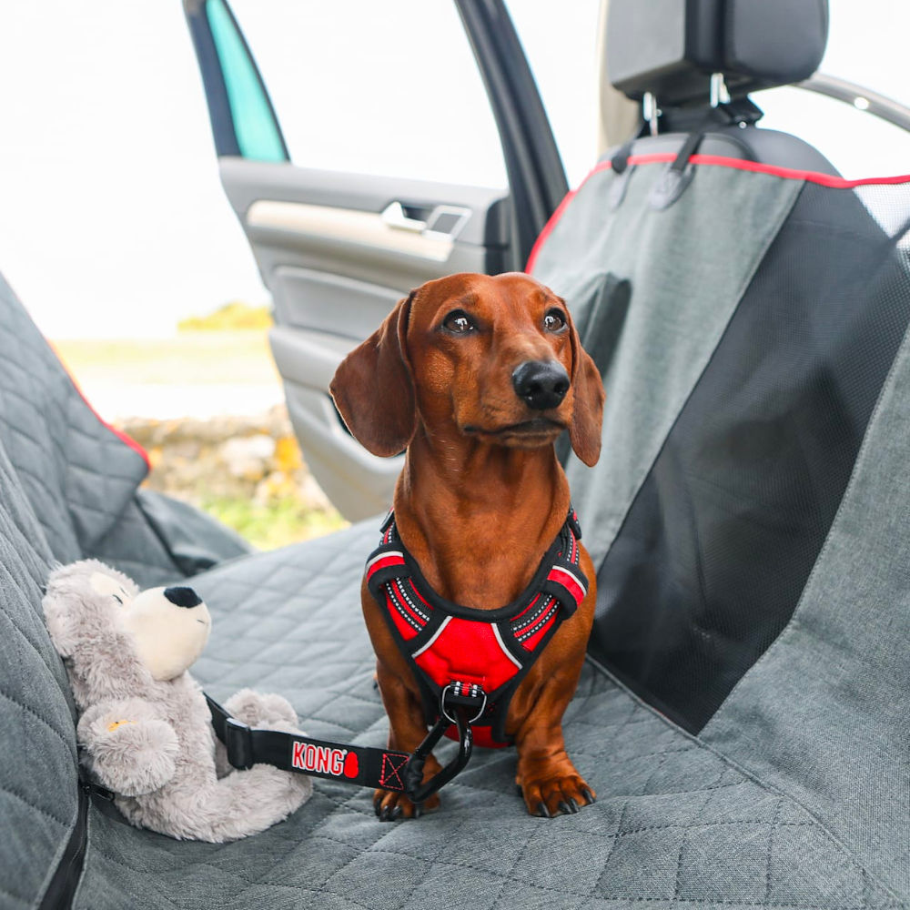 Cubre Asientos y Hamaca 2 en 1 "Kong Travel"