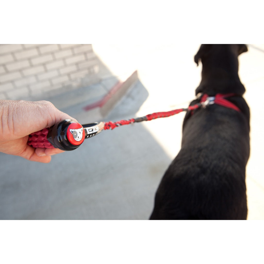Correa CUJO™ 40" Absorción de Tirones EzyDog