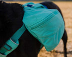 Alforja "Front Range" Day Pack Ruffwear - Aurora Teal / M